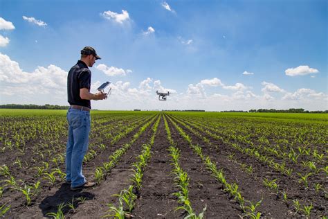 Agricultural Robots: A Revolutionary Tool For Farmers Worldwide ...