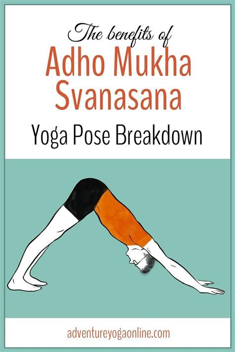 Downward dog benefits pose breakdown – Artofit