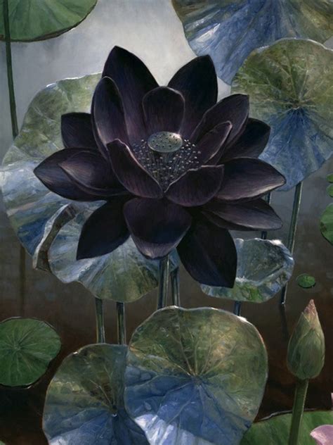 MTGNexus - Black Lotus Art by Steven Belledin