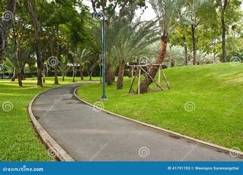 Walking Path and Bike Trail Stock Image - Image of curve, landscape ...