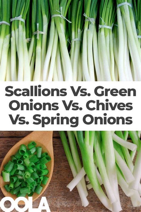 Scallions Vs. Green Onions Vs. Chives Vs. Spring Onions: What's The ...