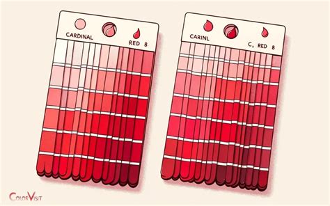 Cardinal Color Vs Red: Slightly Deeper!