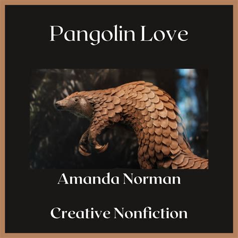 Pangolin Love: Creative Nonfiction