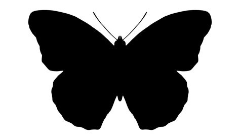 Symmetrical Butterfly Silhouette Clip Art Image - ClipSafari