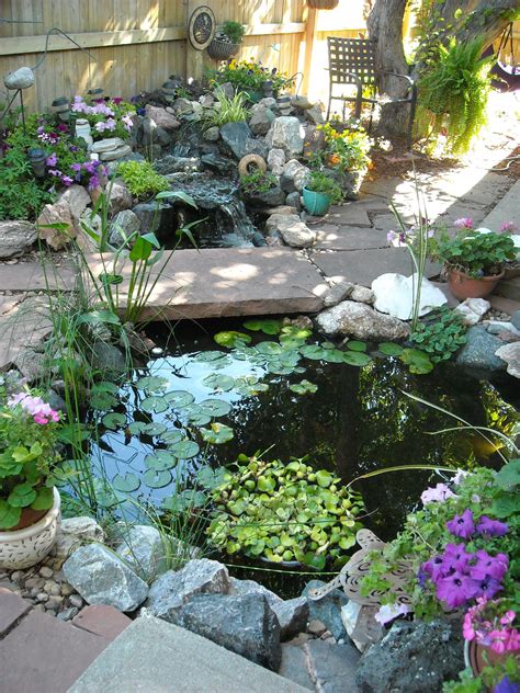 Designing your dream pond – Artofit