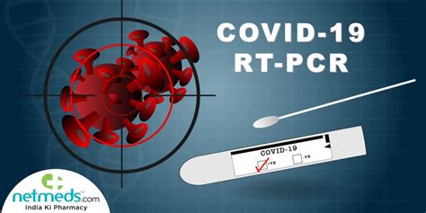 The RT-PCR Test: How This Assay Detects COVID-19 And Other Details ...