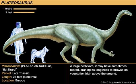 Triassic Period - Reptiles, Mammals, Evolution | Britannica