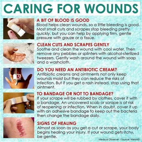 Caring for wound | Nursing tips, Medical careers, Wounds