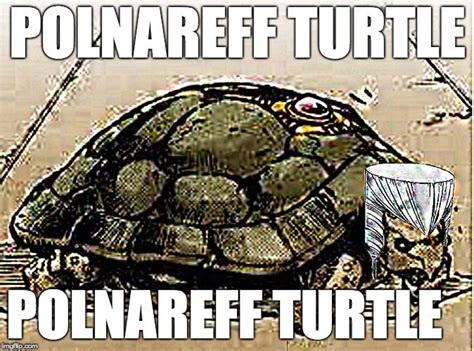 polnareff turtle : r/ShitPostCrusaders