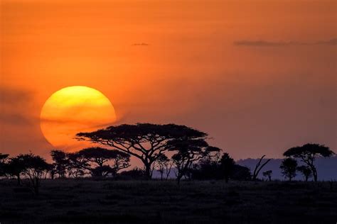 Top 10 Facts about the Serengeti National Park, Tanzania - Discover ...