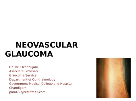 (PDF) Neovascular Glaucoma