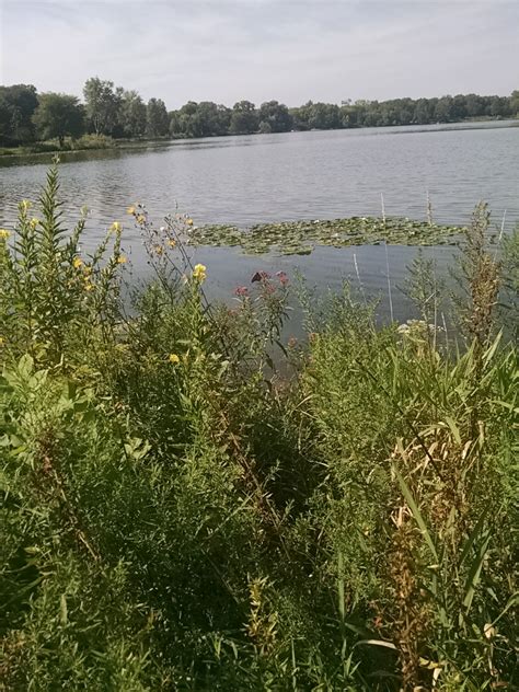 Meet Me Outdoors: Lake of the Isles Park - Minneapolis, MN