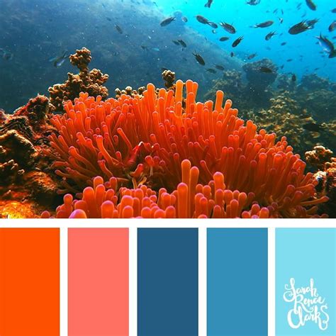 25 Color Palettes Inspired by Ocean Life and PANTONE Living Coral