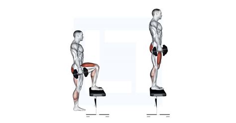 Dumbbell Step Up - Guide, Benefits, and Form