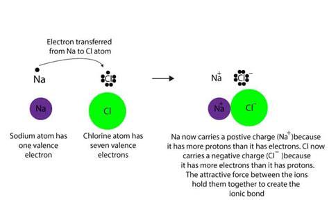 Metal Atoms Always Form the Type of Ions Called