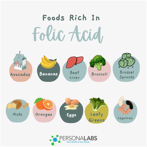 10 Natural Food Sources of Folate (Folic Acid) For Pregnant Women ...