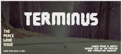 Terminus Font Download | Free Font.Download