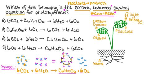 What Is Photosynthesis And Its Chemical Equation - Tessshebaylo