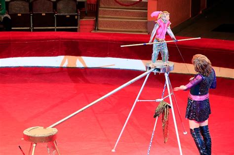 Premium Photo | Trained monkey walking on rope with balance beam in ...