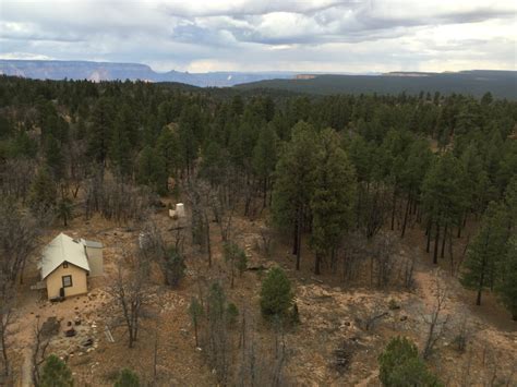 Kaibab National Forest - Tales from the Desert Kaibab National Forest ...