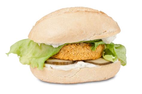 Fresh fish cake sandwich stock photo. Image of fried - 17709124