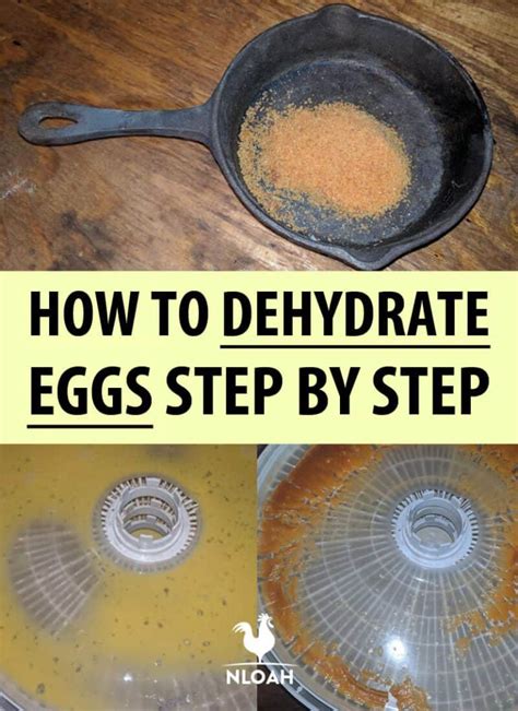 How to Dehydrate Eggs Step by Step