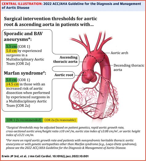 Ascending Thoracic Aortic Aneurysm