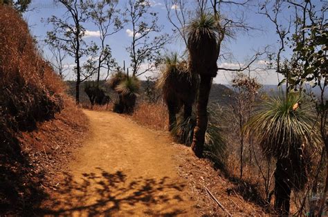 Toowoomba Lookouts - Picnic Point | All Over Australia