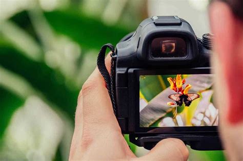 What Is The Best DSLR Cameras For Beginners?