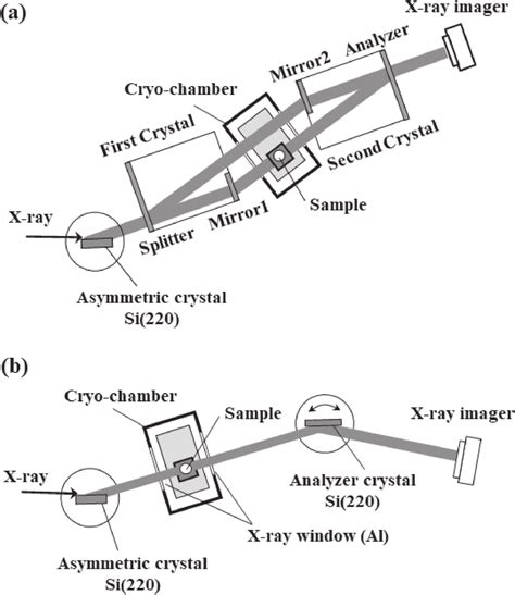 Schematic diagram showing the experimental setup for phase contrast ...