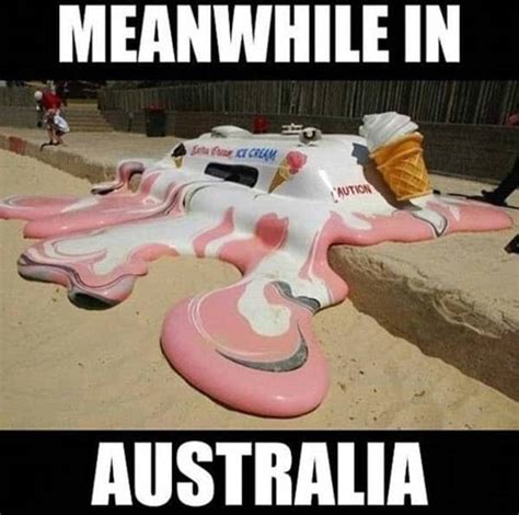 42 Hot Weather Memes to Help You Cool Down - SayingImages.com