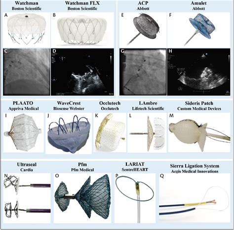 The Spectrum of Devices for Percutaneous Left Atrial Appendage ...