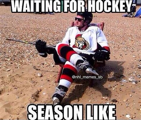 75 Funny Hockey Memes Poking Fun at NHL Greats in the Sports World