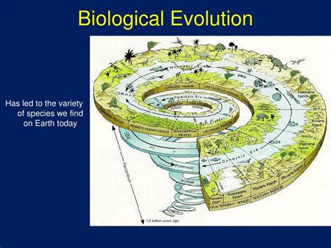 Evolutionary Biology