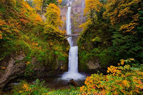 The Best Scenic Drives for Fall Colors in Oregon - Portland Living on ...