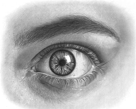 Realistic Eyeball Drawing