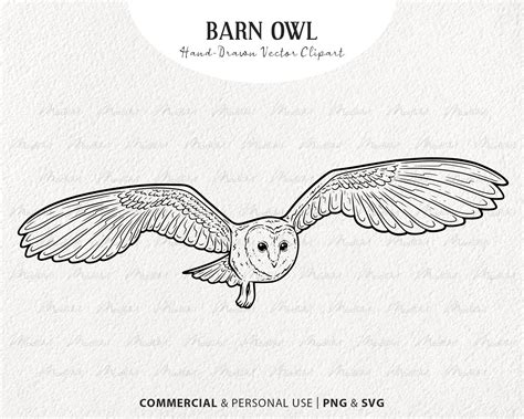 Barn Owl Vector Clipart. Snowy Owl Artwork. Flying Bird Line Drawing ...