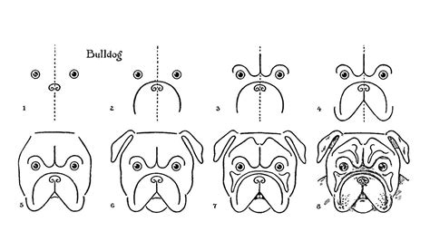 Concept Design Home: Cute Bulldog Drawing Images