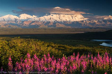 The mountain known as Denali. | Denali National Park, Alaska. | Photos ...