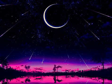 1400x1050 Cool Anime Starry Night Illustration 1400x1050 Resolution ...