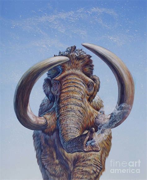 78 best images about Mammoth art on Pinterest | Ice age, Prehistoric ...