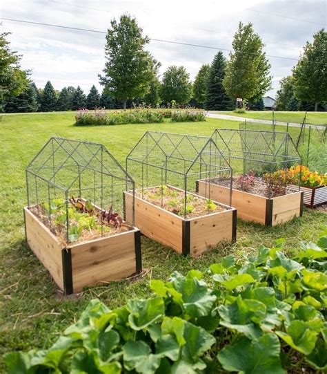 Best Raised Garden Bed Cover that lasts and looks nice - Hydrangea ...