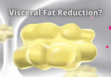 Can we finally treat visceral fat? A recent study says, YES! - Body ...