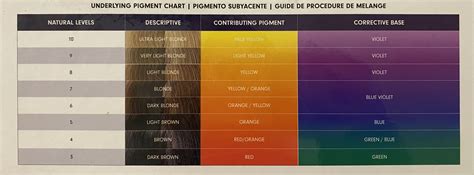 Understanding The Level System In Hair Color – Laura K Collins