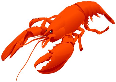 Lobster Clipart Pictures – Clipartix