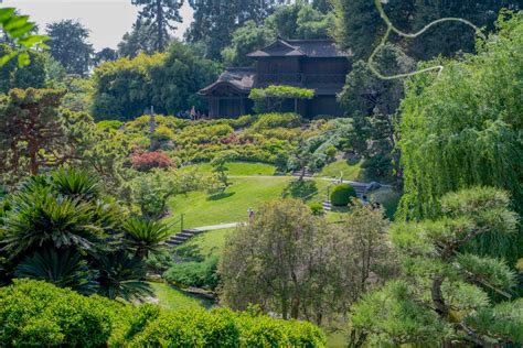 5 Gorgeous Botanical Gardens In L.A. To Wander Through This Spring ...