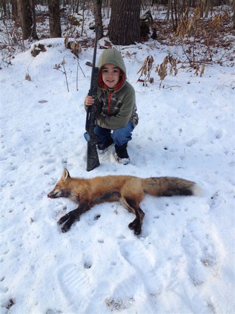 The Maine Outdoorsman: Fox Hunting and Have the Woods Become Unsafe?