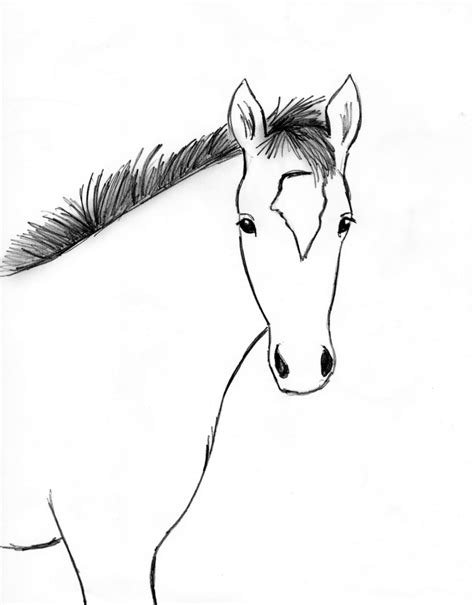 Horse Drawing Step By Step - Art Starts