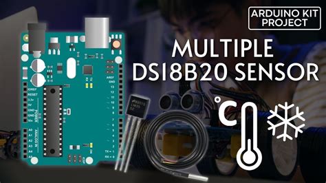 Step-by-Step: Interfacing Multiple DS18B20 Sensors with Arduino ...