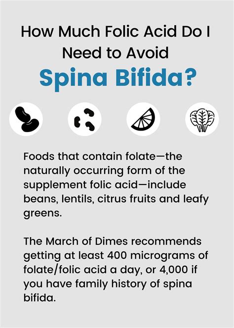 Spina Bifida Life Expectancy - Infoupdate.org